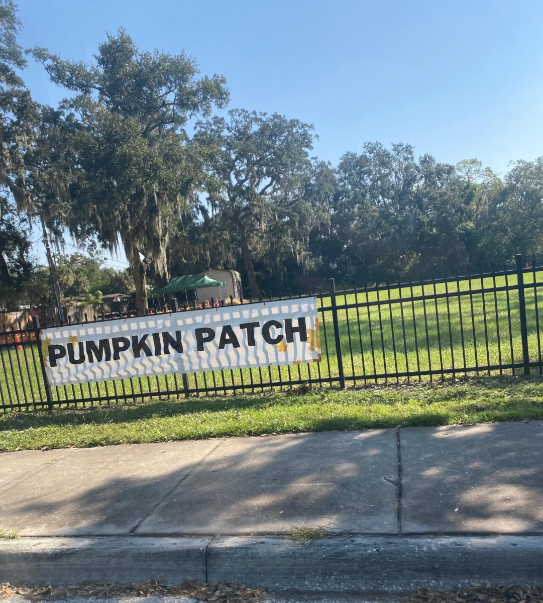 Pumpkin Patch