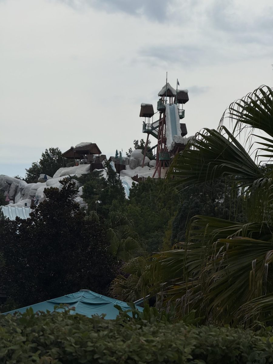Disney Adds Water Parks Perk for Resort Guests