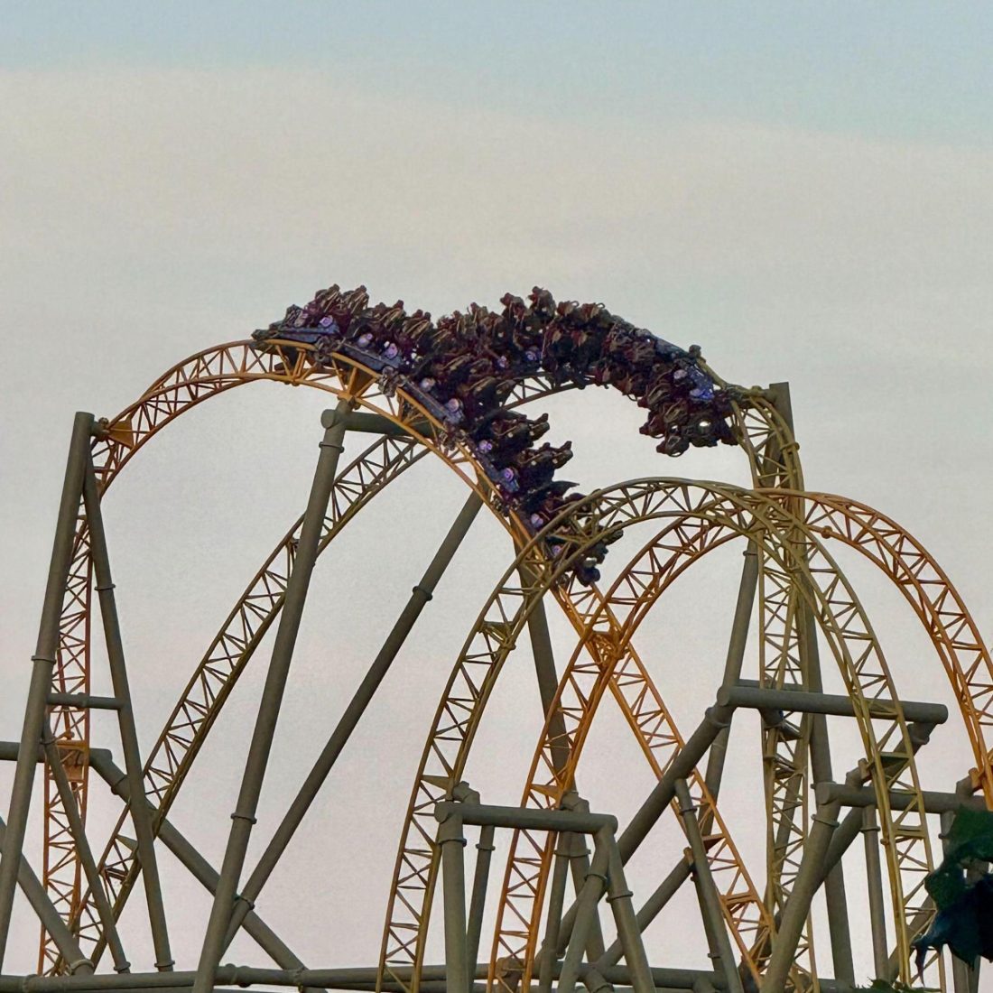 Guest Dies on Orlando Roller Coaster, Stardust Racers